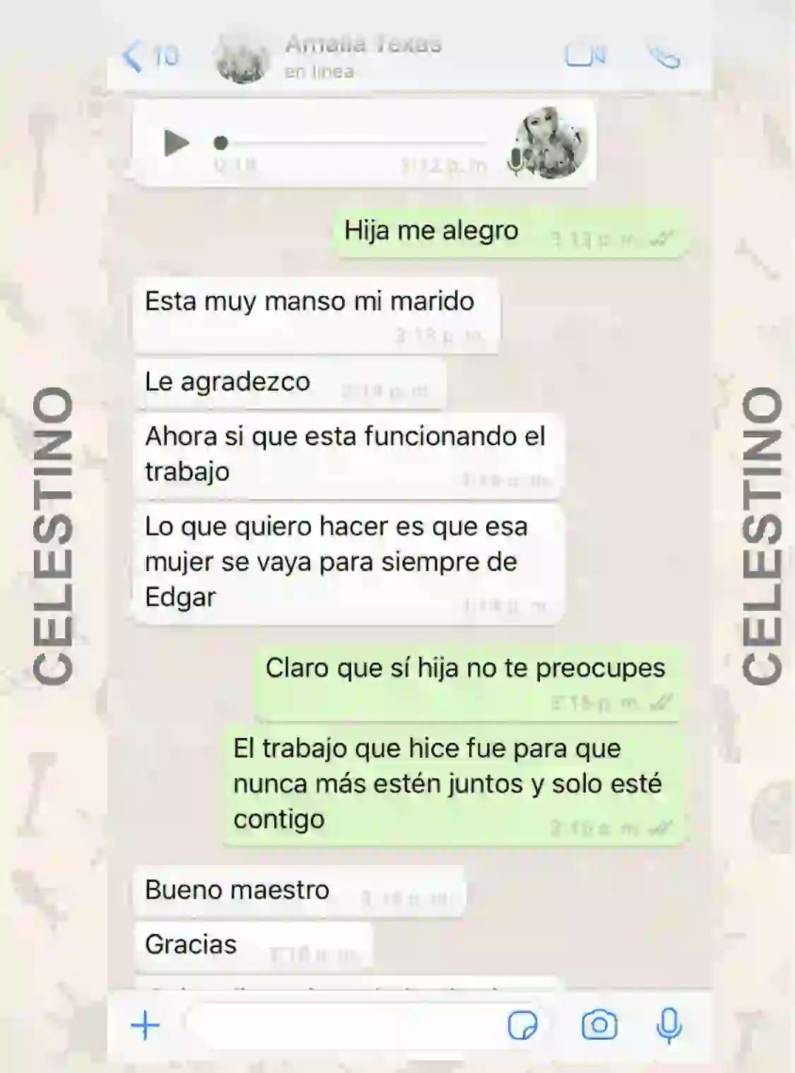 brujo celestino