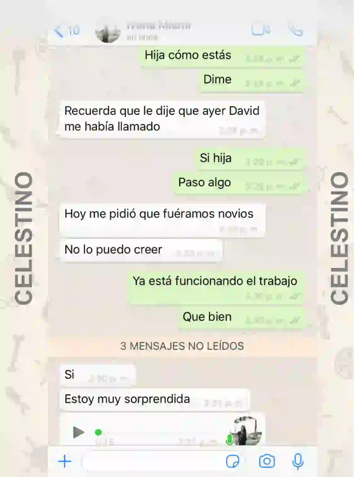 testimonio celestino